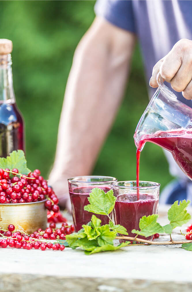 Einkochen saft sirup aus beeren 666x1010 1